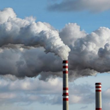 How Business Process Improvement Reduces Your Carbon Emissions